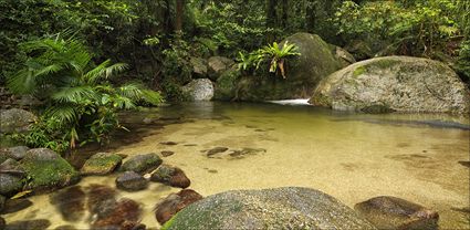 Wurrmbu Creek - Mossman Gorge - QLD T (PBH4 00 17005)